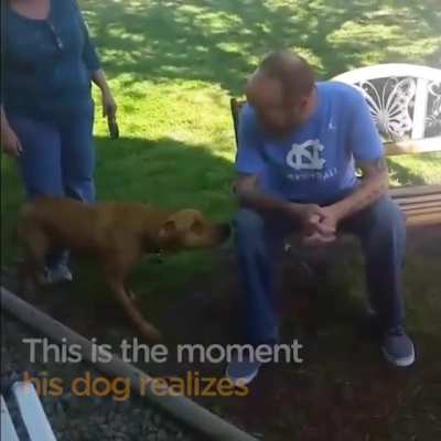 The dog doesn't recognise him until it sniffs!