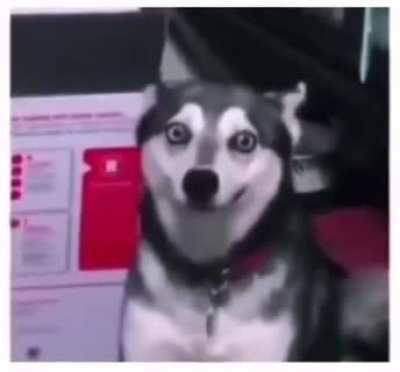 Me, trying not to cough in public