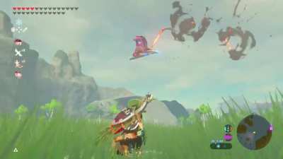 guardian went zooooom