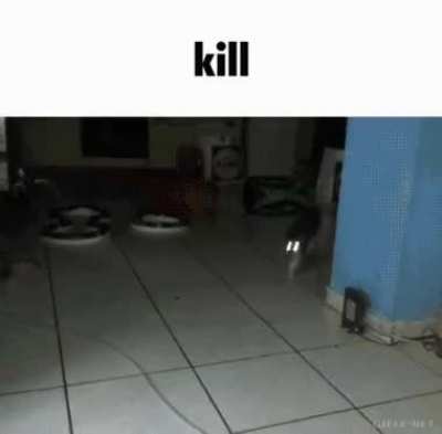 rule