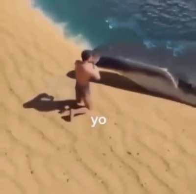 yo