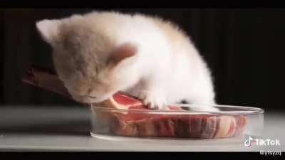 Nom nom