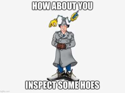 inspector