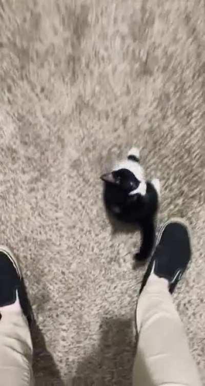 someone opened a door & startled the peanut