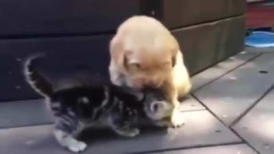 Start of a beautiful friendship