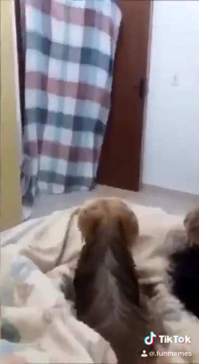 Perdão por ser de Tico Tico e se for repost eu também peço desculpas