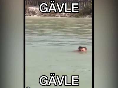 Titel