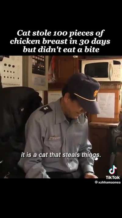 A Cat Steals Chicken Breast