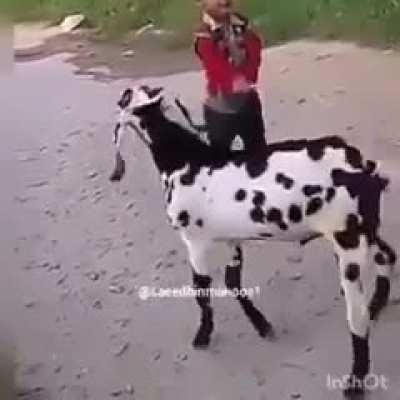 Who just lets their kid do this