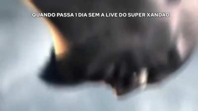SOFRIMENTO