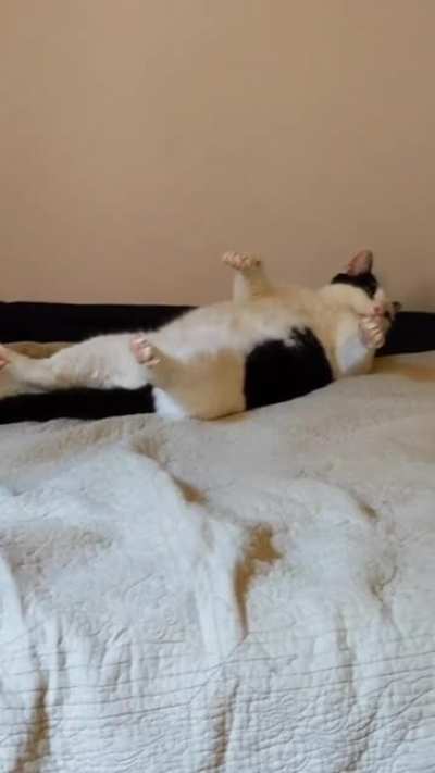 strechhh