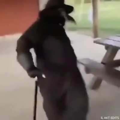 Vocês iam ser quem