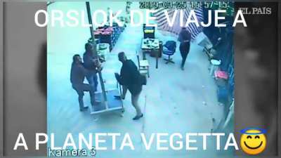 Vegetación 🌳🌳🌳