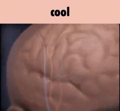 rule