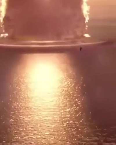 Shrimp daddy
