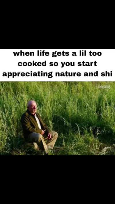 real???????