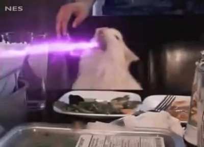 Stop It!