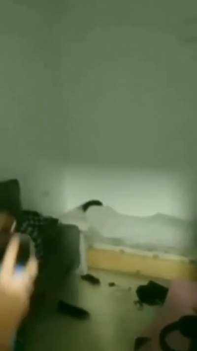 AAAAAAAAA