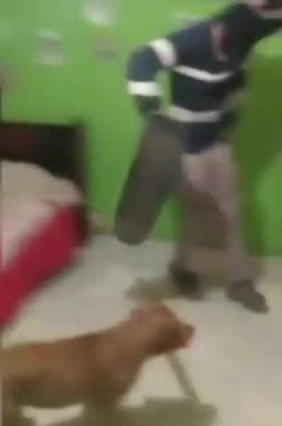 Chucky em outra realidade pararella