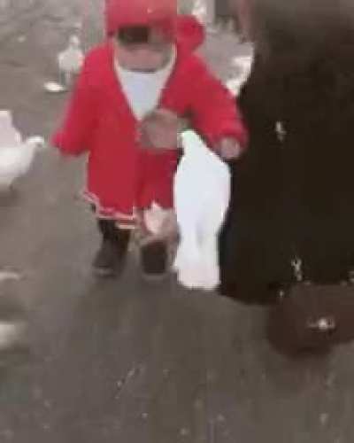 when you get out birded by a kid