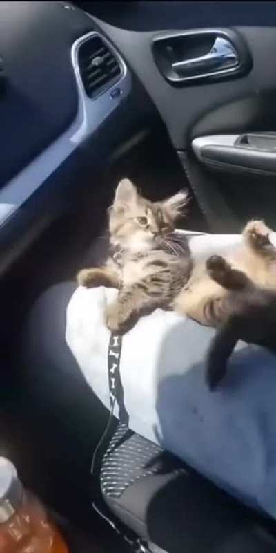Домаш<wbr>нее насилие