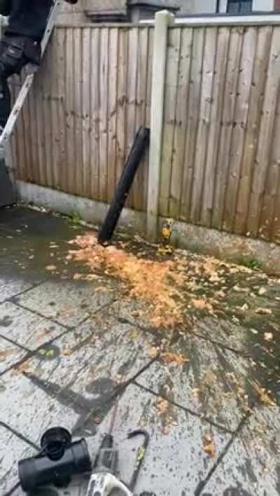 [NSFW] WCGW removing this sewage pipe