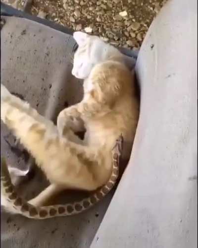 Maybe Maybe Maybe