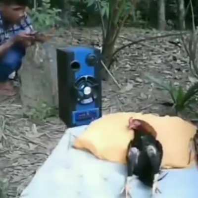 prank hahahahhahah