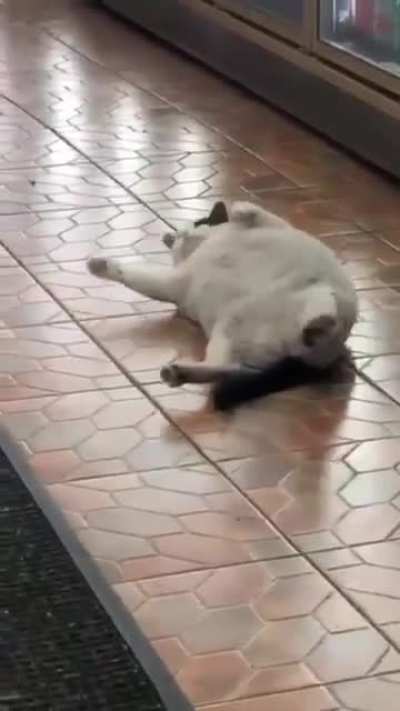 Excuse me... can I help you?