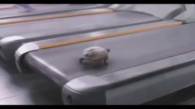Guess thats how he beat the Rabbit