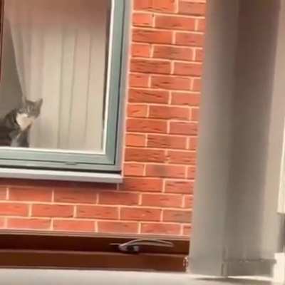 I always feel like somebody's watching me