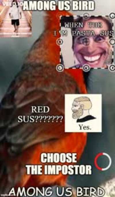 AMONG US BIRD