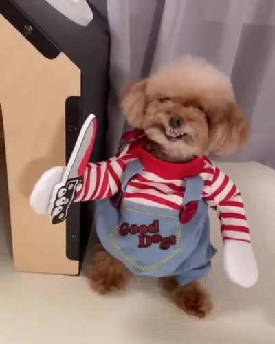 Cutest killer