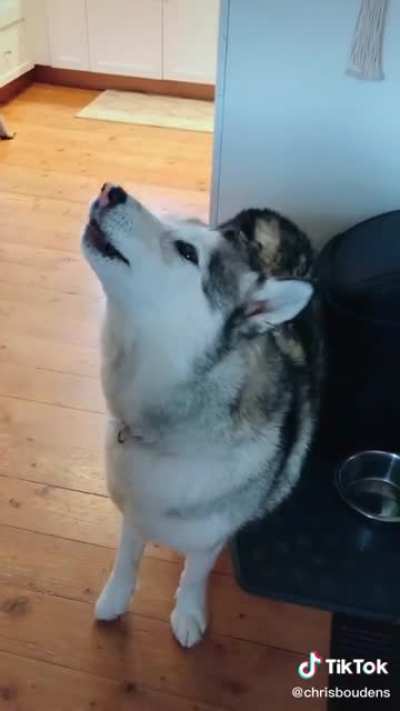 He has quite the singing voice!