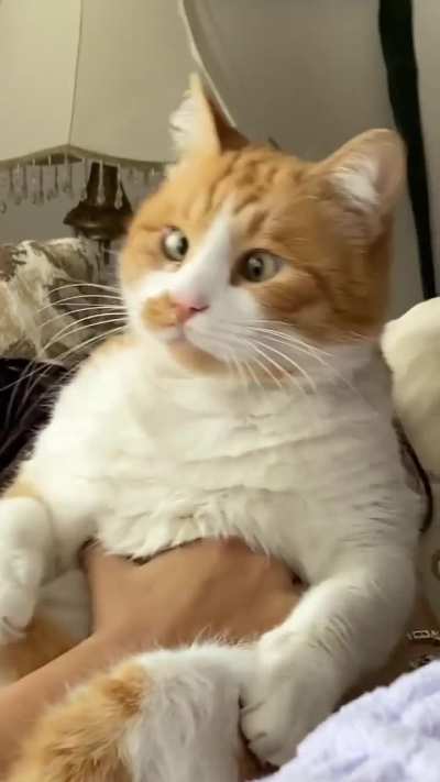 That eye roll!