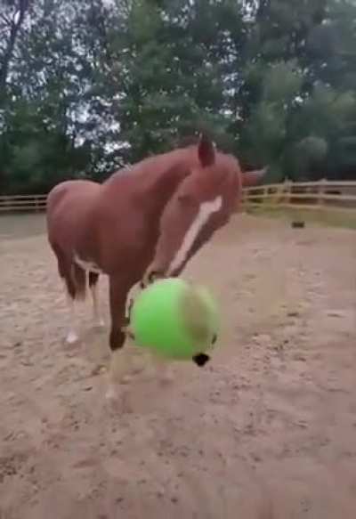 Massive health bar