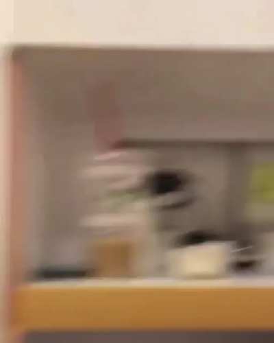 Apparently this guy came back because there were peanuts in his allergic sons smoothie