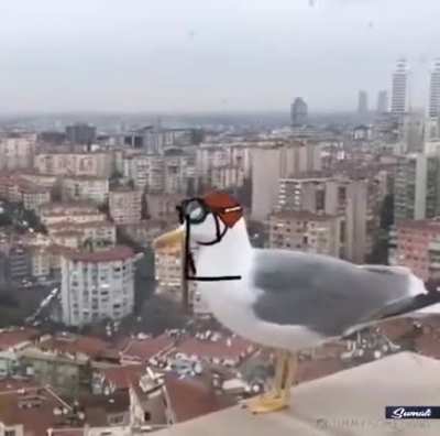 От винта...