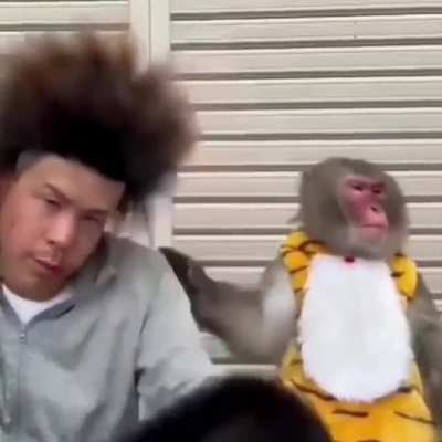 If you need a laugh..