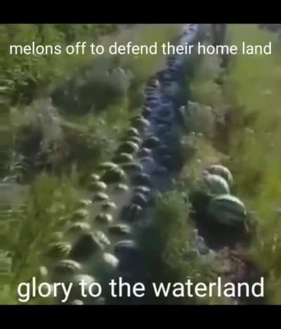 German melons
