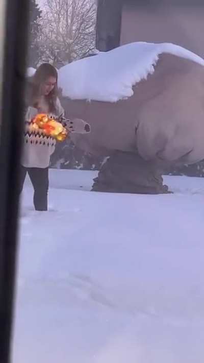 Stupid Santa!
