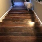 dEpReSsEd DoG cOmMiTs SuICiDe