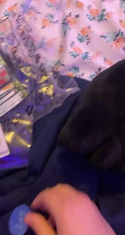 so i took the liberty of cutting open my spamton plush…