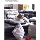 Oh the struggle