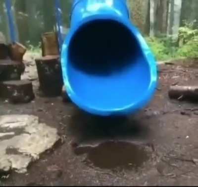 Weeeeeeee