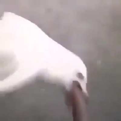 sausage