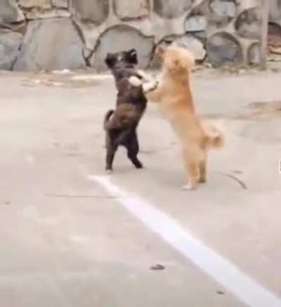 There is always a provoker.