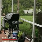 Man from Florida went outside to see hundreds of crabs around his home