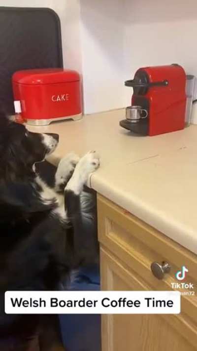 Elsa loves coffee