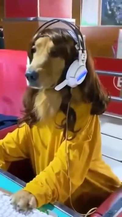 Gamer 